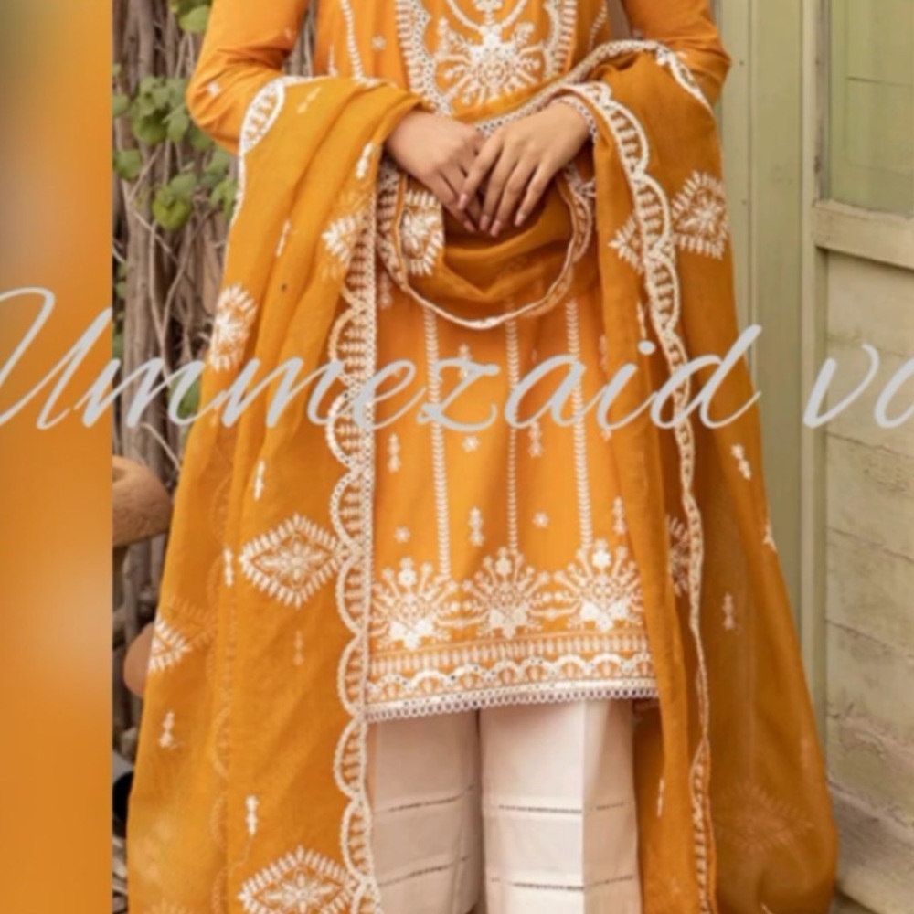 Pakistani dresses - Picture 2 of 2